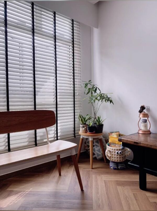 venetian blind (4)